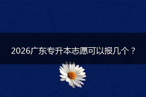 2026广东专升本志愿可以报几个？