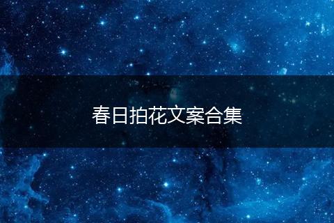 春日拍花文案合集