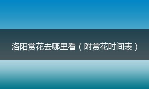 洛阳赏花去哪里看（附赏花时间表）