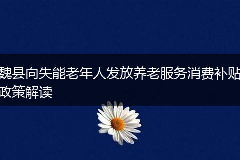 魏县向失能老年人发放养老服务消费补贴政策解读