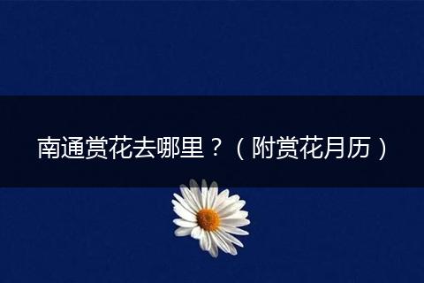 南通赏花去哪里？（附赏花月历）