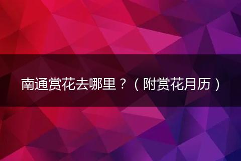 南通赏花去哪里？（附赏花月历）