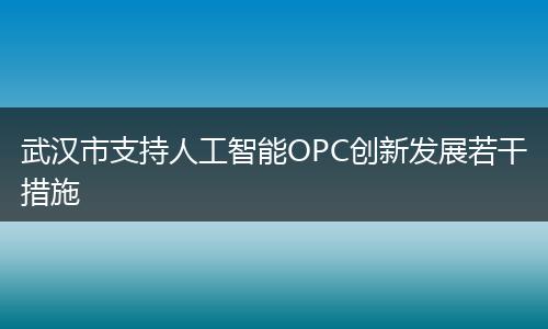 武汉市支持人工智能OPC创新发展若干措施