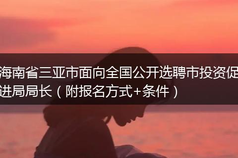 海南省三亚市面向全国公开选聘市投资促进局局长（附报名方式+条件）