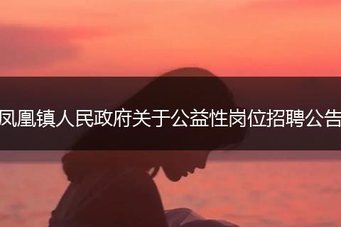 凤凰镇人民政府关于公益性岗位招聘公告