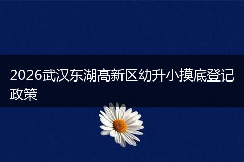 2026武汉东湖高新区幼升小摸底登记政策