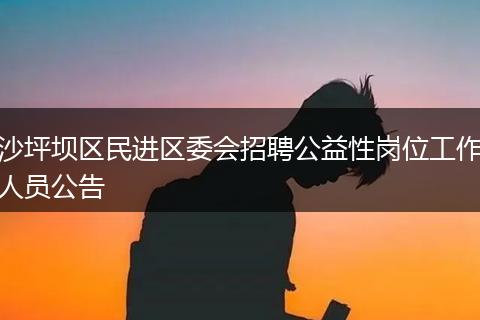 沙坪坝区民进区委会招聘公益性岗位工作人员公告
