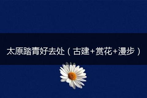 太原踏青好去处（古建+赏花+漫步）