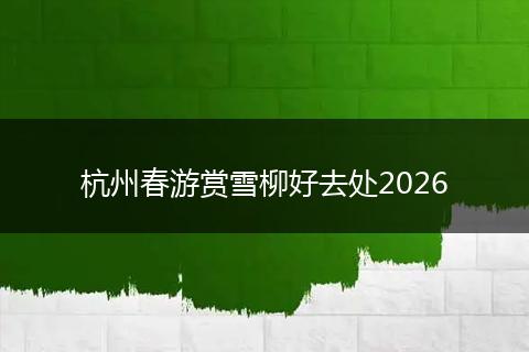 杭州春游赏雪柳好去处2026