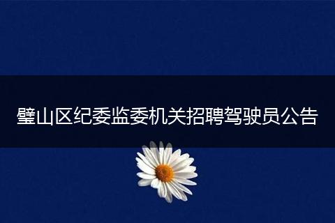 璧山区纪委监委机关招聘驾驶员公告