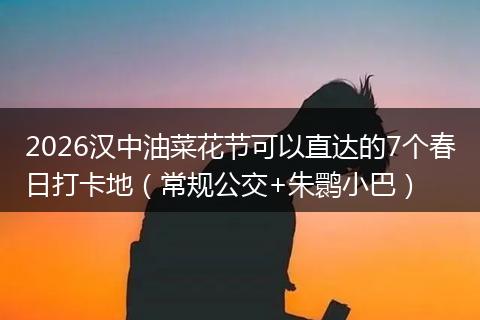 2026汉中油菜花节可以直达的7个春日打卡地（常规公交+朱鹮小巴）