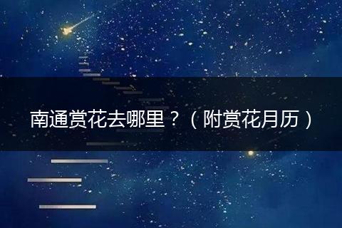 南通赏花去哪里？（附赏花月历）
