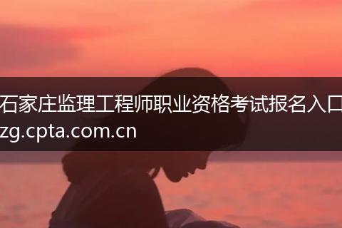 石家庄监理工程师职业资格考试报名入口zg.cpta.com.cn