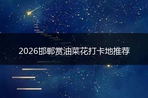 2026邯郸赏油菜花打卡地推荐