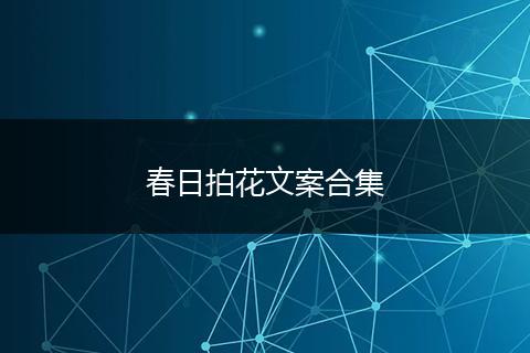 春日拍花文案合集