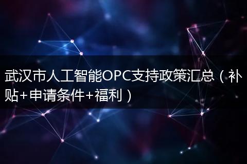 武汉市人工智能OPC支持政策汇总（补贴+申请条件+福利）