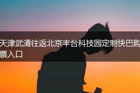 天津武清往返北京丰台科技园定制快巴购票入口