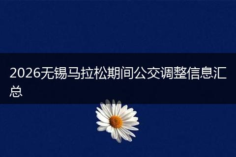 2026无锡马拉松期间公交调整信息汇总