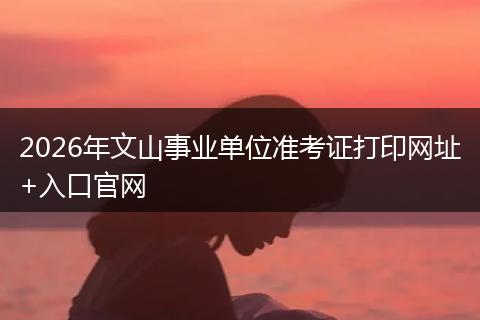 2026年文山事业单位准考证打印网址+入口官网