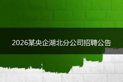 2026某央企湖北分公司招聘公告