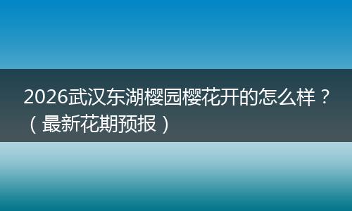 2026武汉东湖樱园樱花开的怎么样？（最新花期预报）