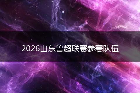 2026山东鲁超联赛参赛队伍