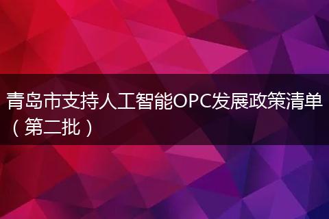 青岛市支持人工智能OPC发展政策清单（第二批）