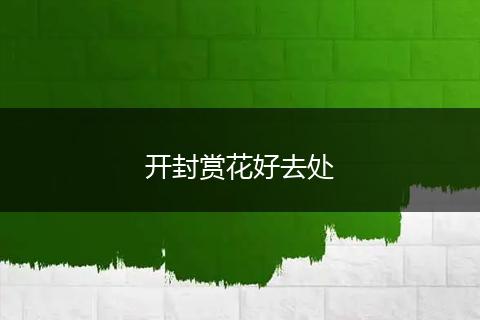开封赏花好去处