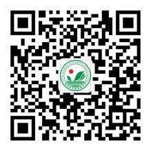 海南省农垦实验中学2026年校园公开招聘教师(岗位+报名+条件)