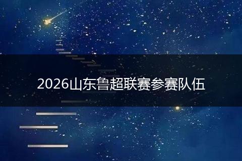 2026山东鲁超联赛参赛队伍