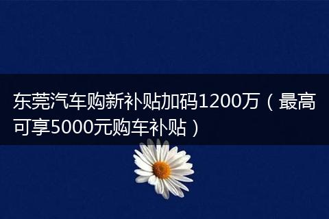 东莞汽车购新补贴加码1200万（最高可享5000元购车补贴）