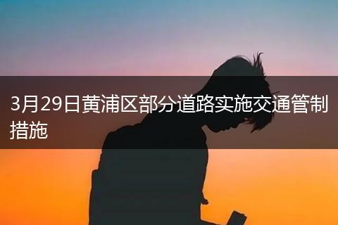 3月29日黄浦区部分道路实施交通管制措施