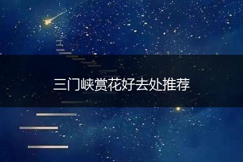 三门峡赏花好去处推荐