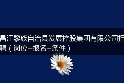 昌江黎族自治县发展控股集团有限公司招聘（岗位+报名+条件）