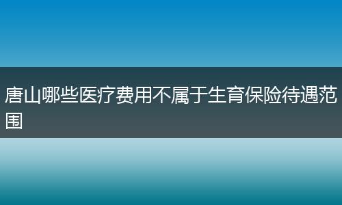 唐山哪些医疗费用不属于生育保险待遇范围