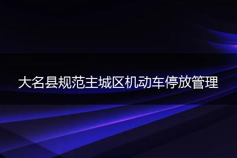 大名县规范主城区机动车停放管理