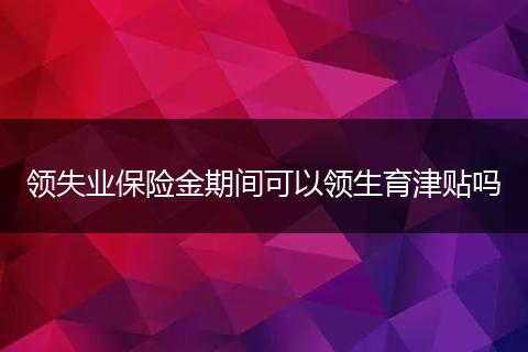 领失业保险金期间可以领生育津贴吗