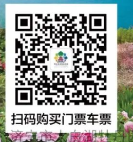 2026济宁太白湖牡丹节活动时间＋地点