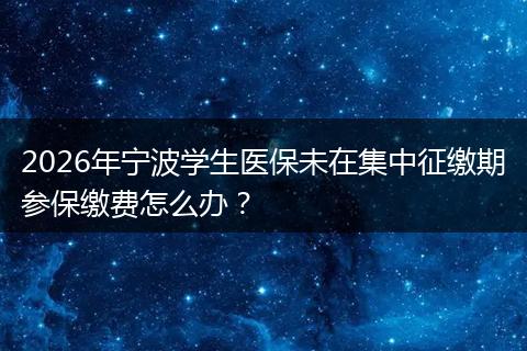 2026年宁波学生医保未在集中征缴期参保缴费怎么办？