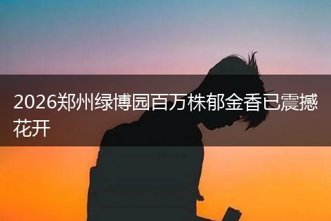 2026郑州绿博园百万株郁金香已震撼花开