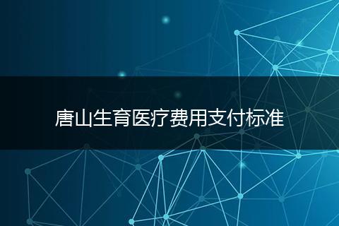 唐山生育医疗费用支付标准