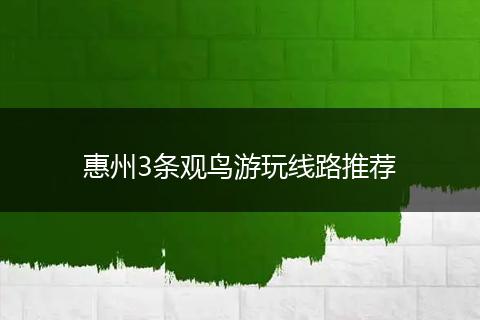 惠州3条观鸟游玩线路推荐
