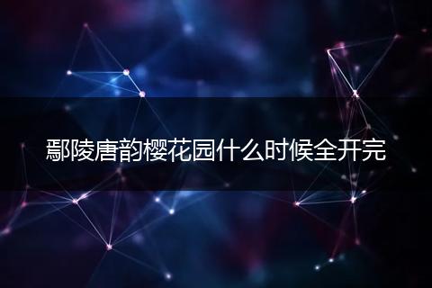 鄢陵唐韵樱花园什么时候全开完