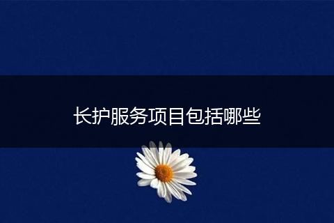 长护服务项目包括哪些