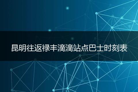 昆明往返禄丰滴滴站点巴士时刻表