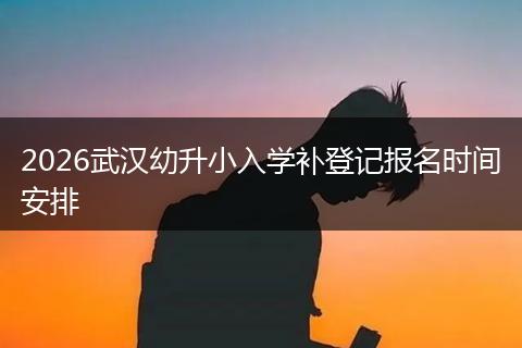 2026武汉幼升小入学补登记报名时间安排