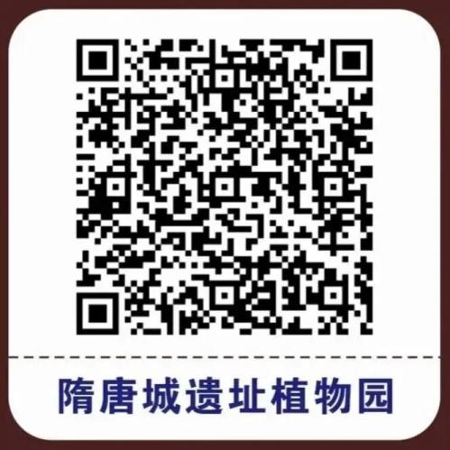 隋唐城遗址植物园牡丹花会门票多少钱？