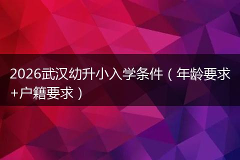 2026武汉幼升小入学条件（年龄要求+户籍要求）