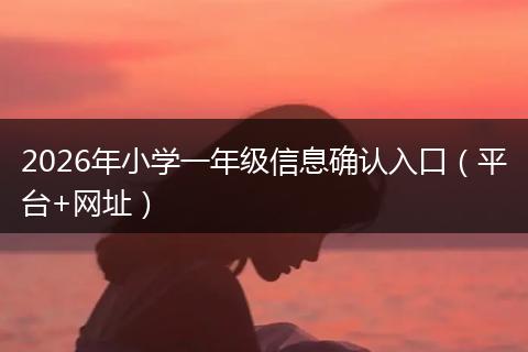 2026年小学一年级信息确认入口（平台+网址）