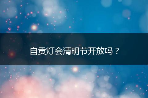 自贡灯会清明节开放吗？
